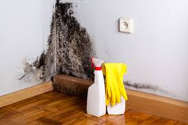 Why You Should Choose Our Mold Remediation Services in Liberty Hill, TX